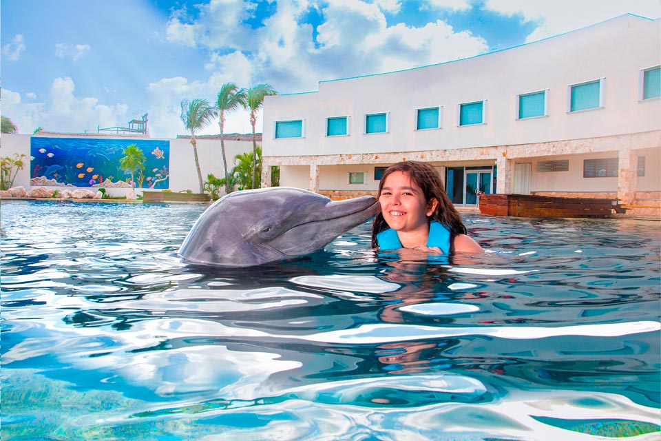 diamond-experience-dolphin-connection-cancun